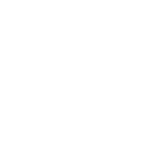 Groupe Sunny