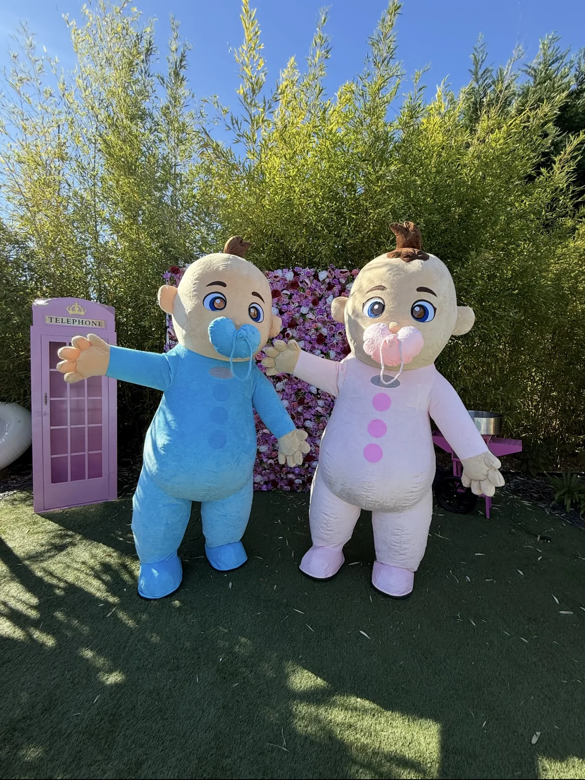Duo de mascottes