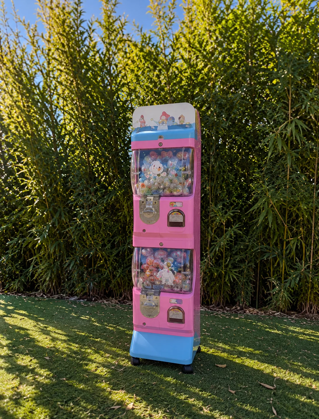 Machine à pince